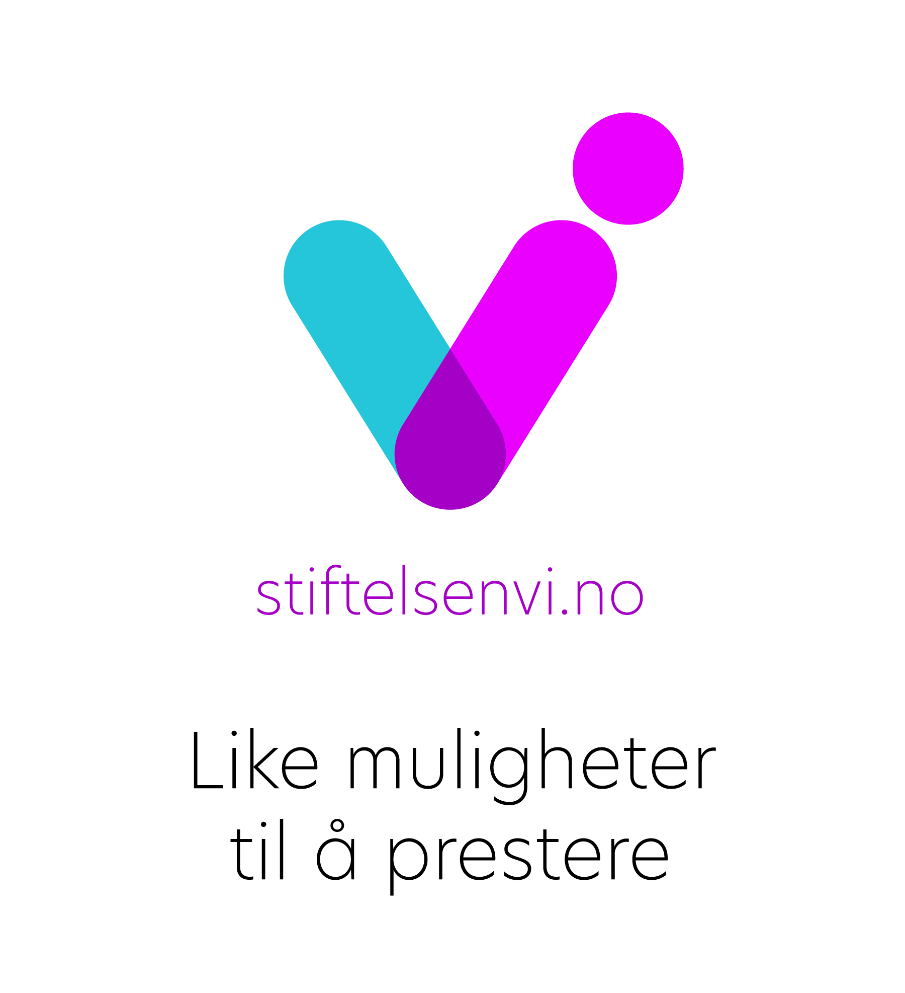 Logo Stiftelsen VI