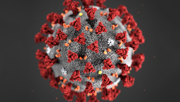 Nærbilde av koronavirus
